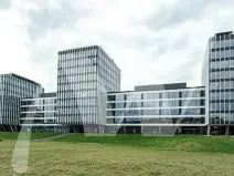 Pronájem kanceláře, Praha - Holešovice, Pod dráhou, 700 m2