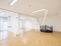 Pronájem kanceláře, Praha - Nové Město, Václavské náměstí, 466 m2