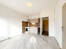 Prodej bytu 1+1, Teplice, Julia Payera, 36 m2