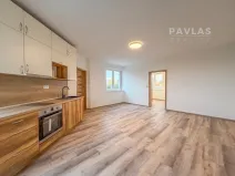 Pronájem bytu 2+kk, České Budějovice, Doudlebská, 60 m2