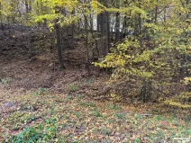 Prodej pozemku pro bydlení, Štěchovice, 852 m2