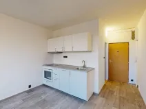 Pronájem bytu 1+1, Most, Marš. Rybalka, 35 m2
