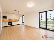 Pronájem bytu 2+kk, Plzeň - Jižní Předměstí, Železná, 58 m2