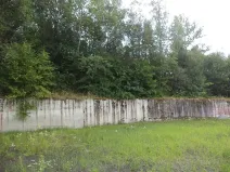 Dražba louky, Kaplice, 99 m2