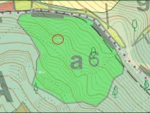 Prodej lesa, Brumov-Bylnice, 10951 m2