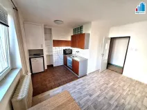 Pronájem bytu 1+kk, Plzeň - Jižní Předměstí, Raisova, 29 m2