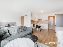 Pronájem bytu 1+kk, Plzeň, Hálkova, 41 m2