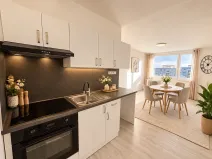 Pronájem bytu 2+kk, Litvínov, Valdštejnská, 43 m2