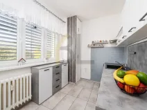 Prodej bytu 2+1, Hodonín, Družstevní čtvrť, 55 m2