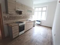 Pronájem bytu 1+1, Děčín - Děčín XI-Horní Žleb, Labské nábř., 49 m2