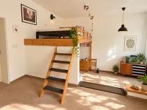 Pronájem bytu 1+kk, Praha - Žižkov, Biskupcova, 47 m2