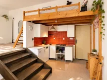 Pronájem bytu 1+kk, Praha - Žižkov, Biskupcova, 47 m2