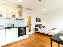 Pronájem bytu 1+kk, Praha - Vinohrady, Perucká, 25 m2
