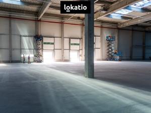 Pronájem skladu, Karviná, 10446 m2