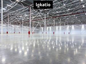 Pronájem skladu, Česká Lípa, 7000 m2