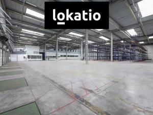 Pronájem skladu, Plzeň, 10300 m2