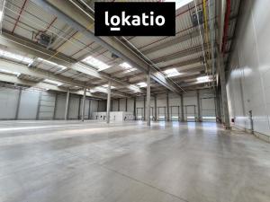 Pronájem skladu, Kadaň, 16340 m2