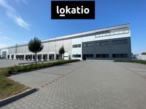 Pronájem skladu, Olomouc, 8100 m2