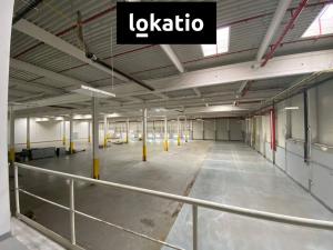 Pronájem skladu, Olomouc, 8100 m2