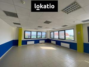 Pronájem skladu, Olomouc, 8100 m2