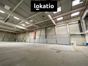 Pronájem skladu, Olomouc, 8100 m2