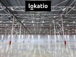 Pronájem skladu, Ostrava, 5000 m2