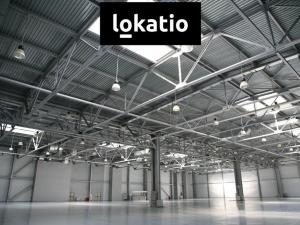 Pronájem skladu, Ostrava, Františka a Anny Ryšových, 6000 m2