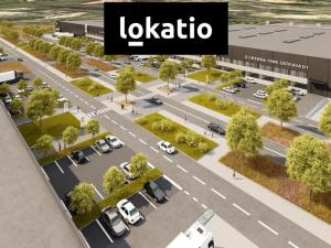 Pronájem skladu, Ostrava, Bohumínská, 13500 m2