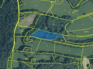 Prodej lesa, 3916 m2