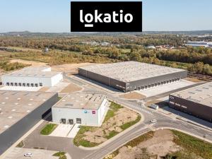 Pronájem skladu, Ostrava - Vítkovice, 29524 m2