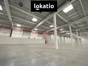 Pronájem skladu, Ostrava - Vítkovice, 10275 m2