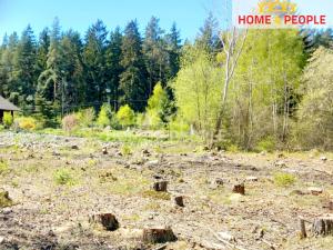 Prodej pozemku pro bydlení, Láz, 2392 m2