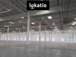 Pronájem skladu, Přehýšov, 30700 m2