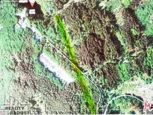 Prodej lesa, Vilémovice, 7168 m2