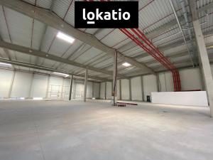 Pronájem skladu, Olomouc, 3502 m2