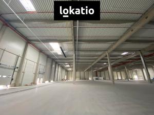 Pronájem výroby, Olomouc, 3602 m2