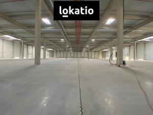 Pronájem výroby, Olomouc, 3602 m2