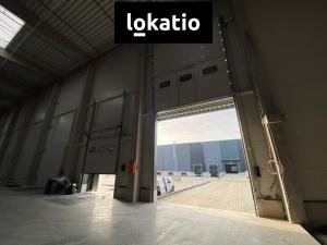 Pronájem výrobních prostor, Olomouc, 4690 m2