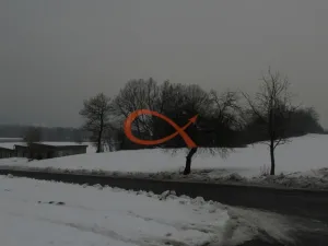 Prodej pozemku, Zubří, 6656 m2