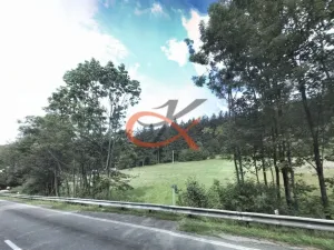 Prodej trvalého travního porostu, Rožnov pod Radhoštěm, Ostravská, 7218 m2