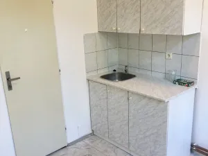 Pronájem obchodního prostoru, Teplice, Masarykova třída, 293 m2