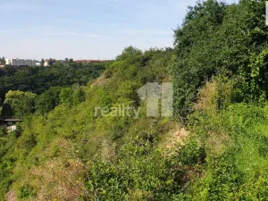 Prodej trvalého travního porostu, Praha - Liboc, 217 m2