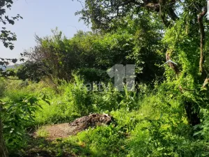 Prodej trvalého travního porostu, Praha - Liboc, 217 m2