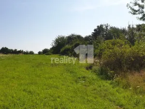 Prodej trvalého travního porostu, Praha - Liboc, 217 m2