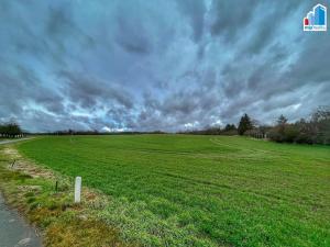 Prodej zemědělské půdy, Heřmanova Huť, Březová, 32493 m2