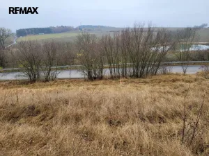 Prodej trvalého travního porostu, Třebsko, 6483 m2