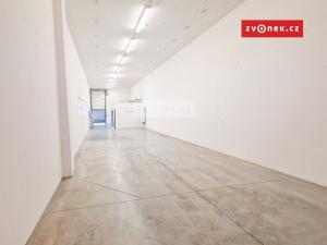 Pronájem skladu, Lípa, 250 m2