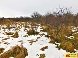 Prodej zahrady, Znojmo, 609 m2