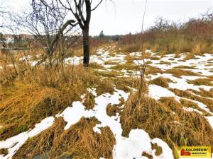 Prodej zahrady, Znojmo, 473 m2