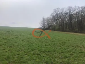 Prodej pozemku pro bydlení, Háj ve Slezsku, 9208 m2